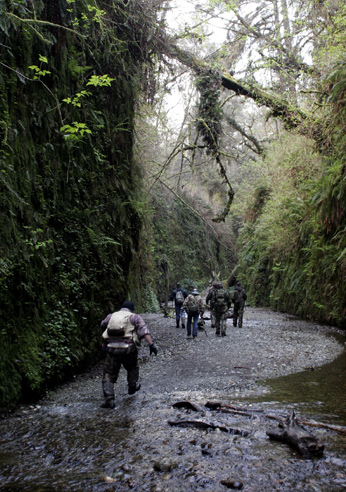 bigfoot field researchers organization