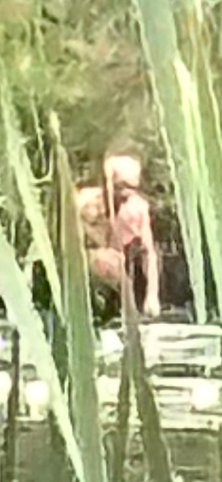 BFRO Report Image