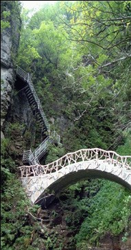 bridge