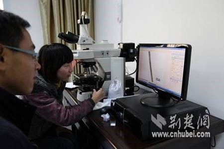 Hubei Researchers