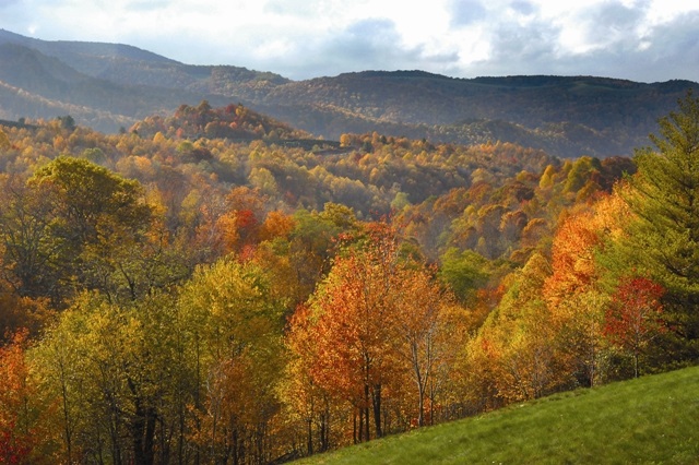 Jefferson National Forest