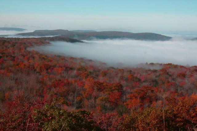 Fall View