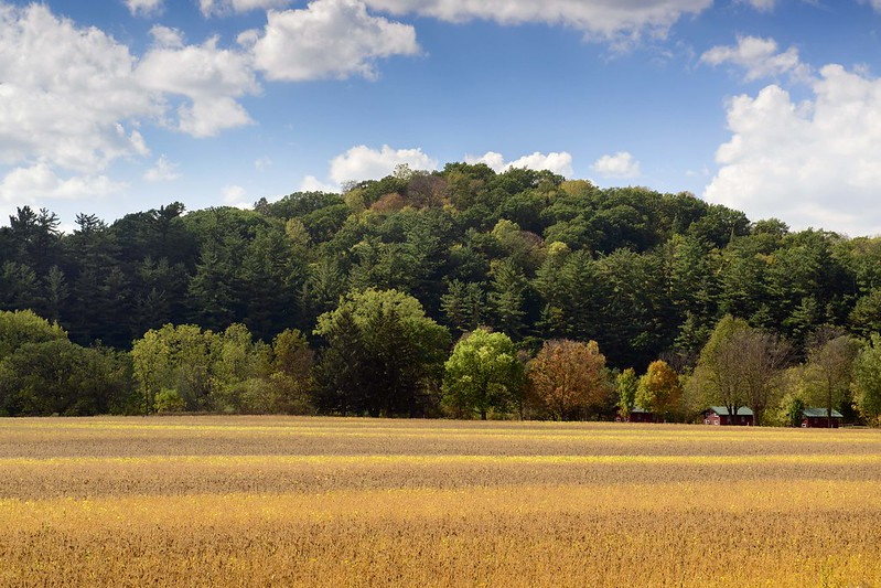 hill over corn