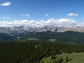 alberta