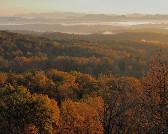 georgia_area2