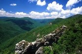 NC