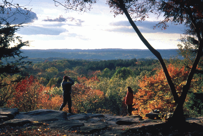 ledges