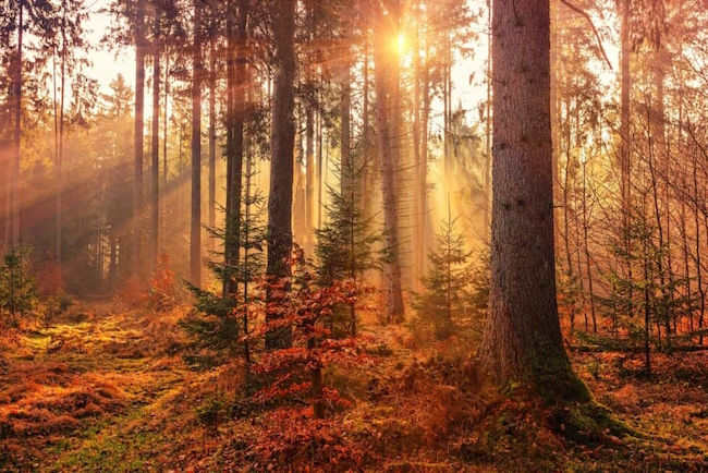 god rays