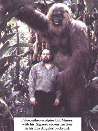 gigantopithecus blacki brain size